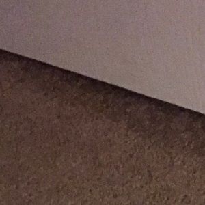 Meet your Posher, Lola